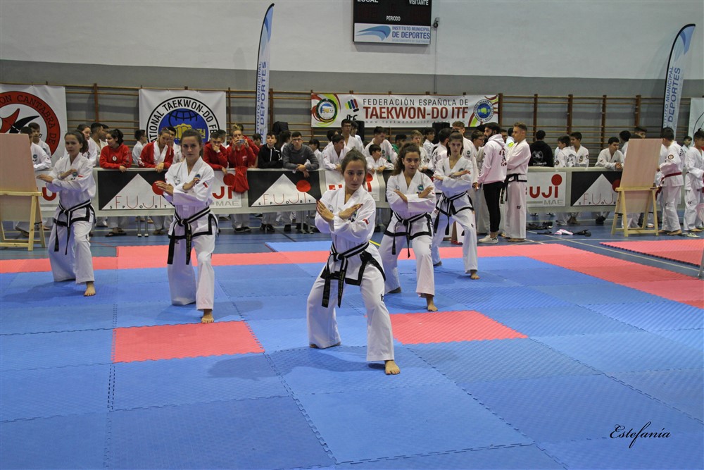 Copa Seul 2018 (326).jpg